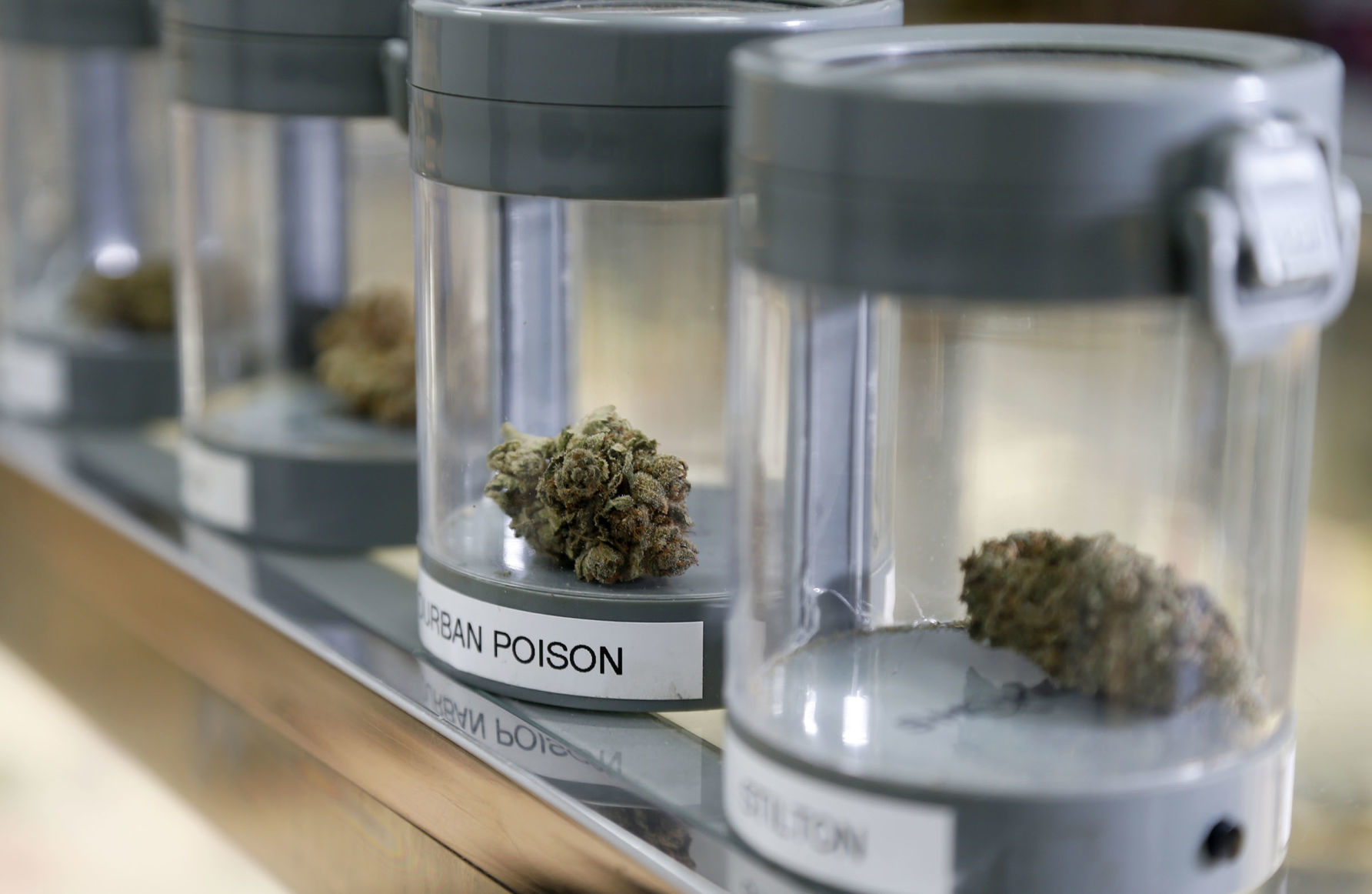 Are there different kinds of marijuana?